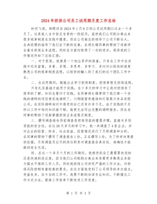 2024年担保公司员工试用期月度工作总结
