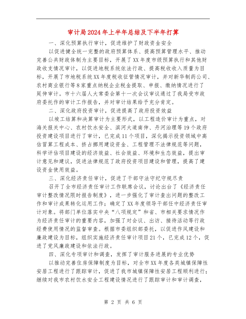 审计局2024年上半年总结及下半年打算_第2页