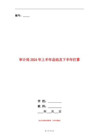 审计局2024年上半年总结及下半年打算