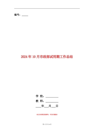 2024年10月市政部试用期工作总结