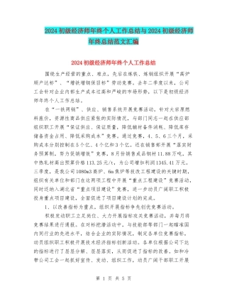 2024初级经济师年终个人工作总结与2024初级经济师年终总结范文汇编