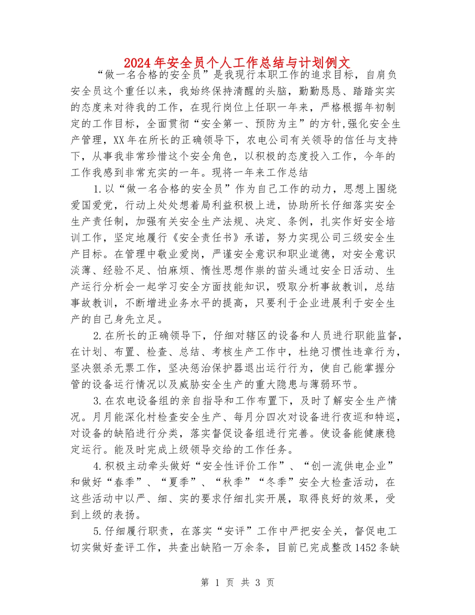 2024年安全员个人工作总结与计划例文_第1页