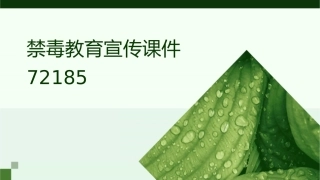 禁毒教育宣传课件72185