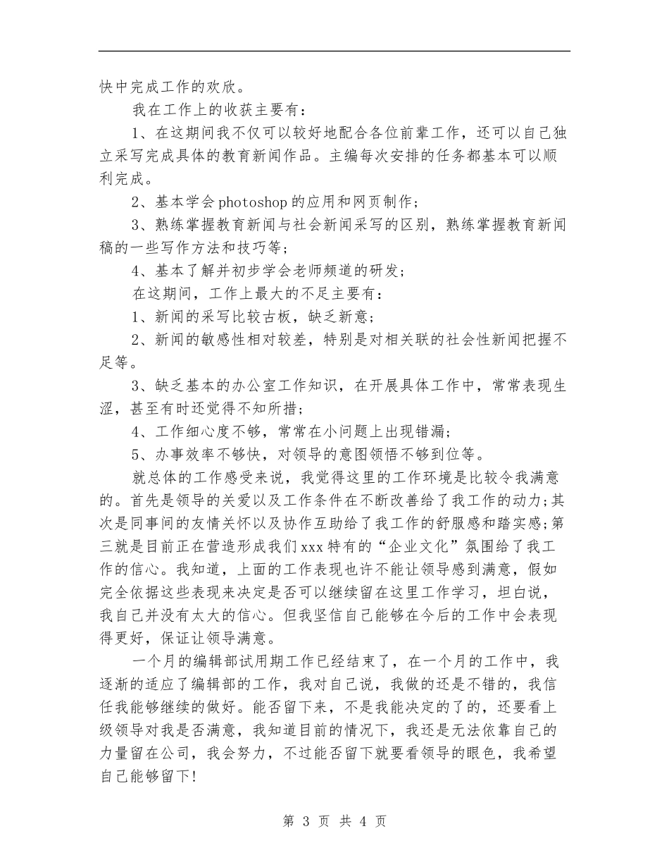 2024年编辑试用期工作总结_第3页