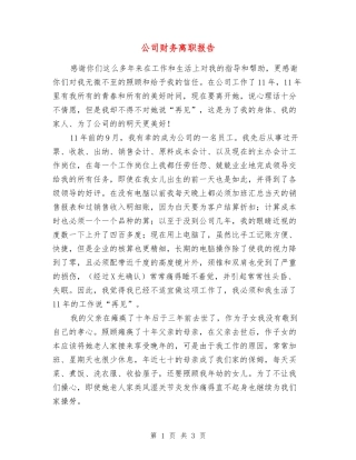 公司财务离职报告