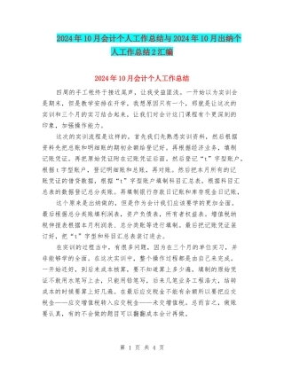 2024年10月会计个人工作总结与2024年10月出纳个人工作总结2汇编