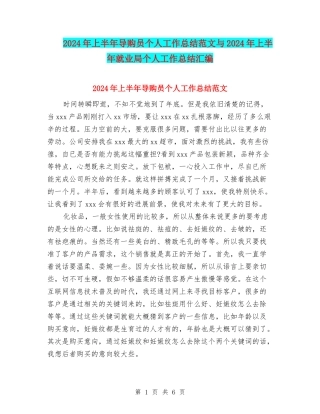 2024年上半年导购员个人工作总结范文与2024年上半年就业局个人工作总结汇编