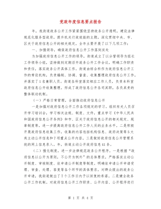 党政年度信息要点报告