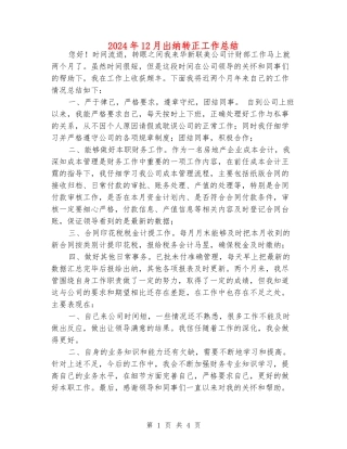 2024年12月出纳转正工作总结