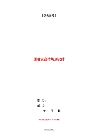团总支宣传规划安排