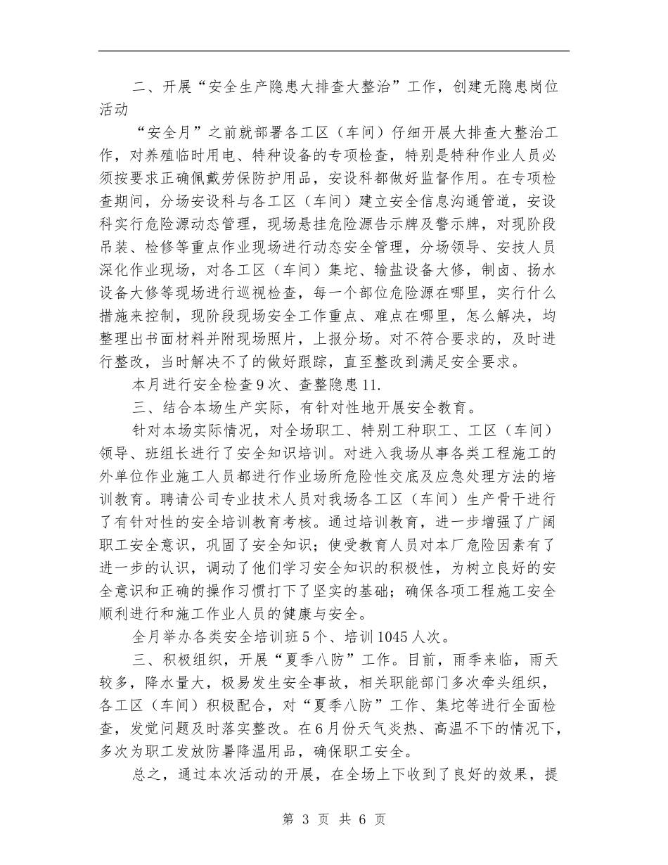 制盐场安全生产工作总结_第3页