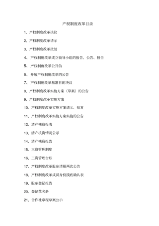 产权制度改革摸板档案资料