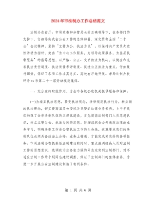 2024年市法制办工作总结范文