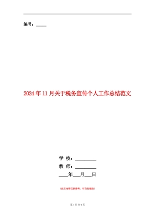 2024年11月关于税务宣传个人工作总结范文