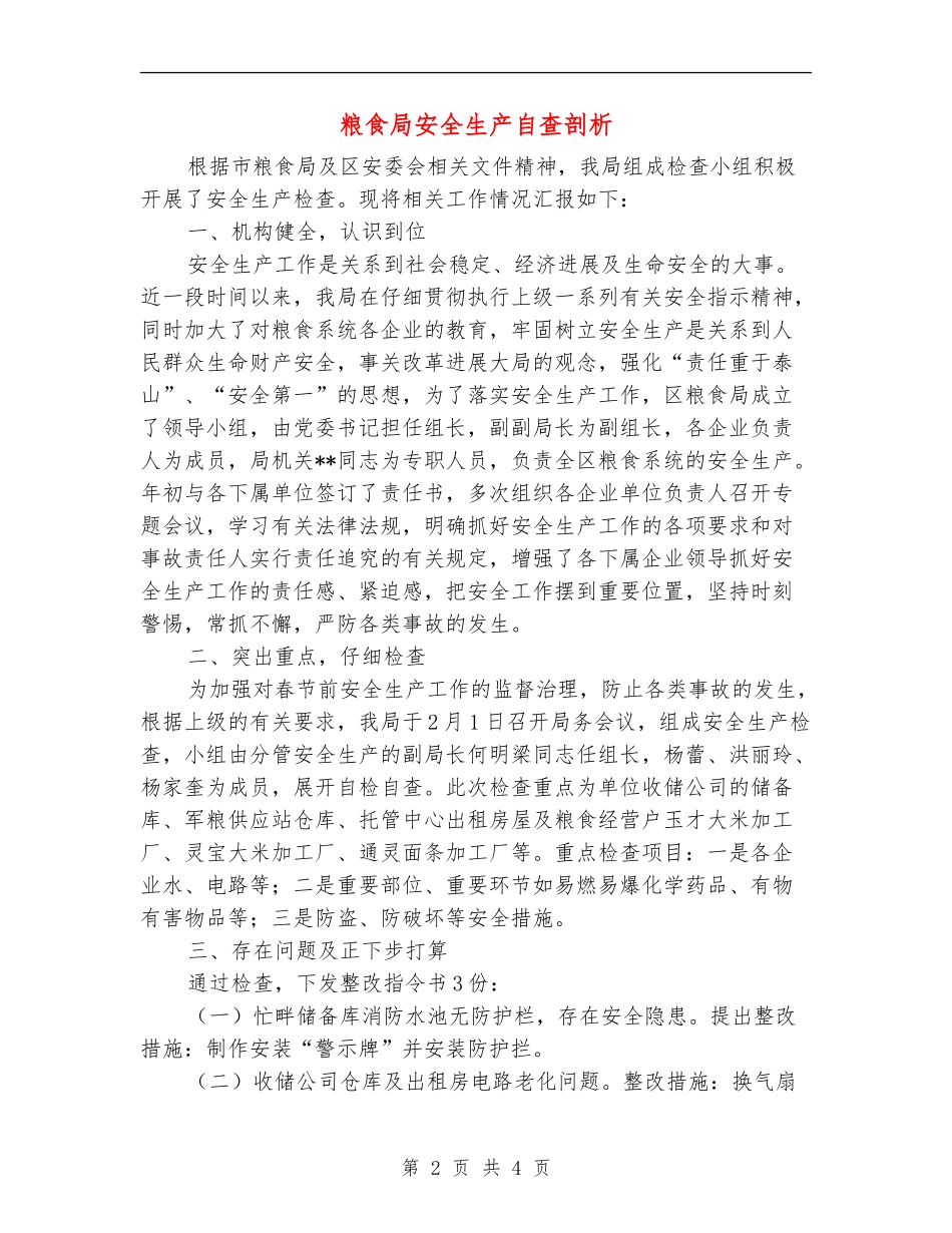 粮食局安全生产自查剖析_第2页
