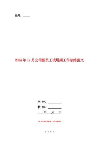 2024年12月公司新员工试用期工作总结范文
