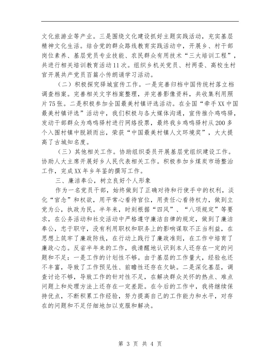 乡镇分管宣传工作领导个人述职述廉报告_第3页