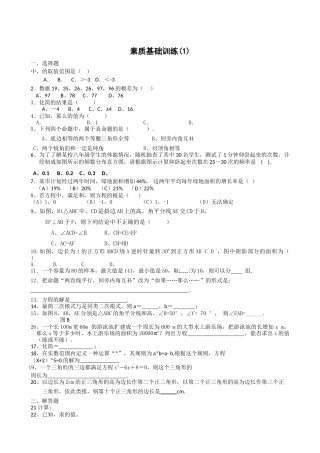 数学八年级上浙教版八上素质基础训练 