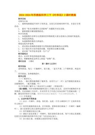 2024-2024年苏教版科学三下《叶和花》2课时教案