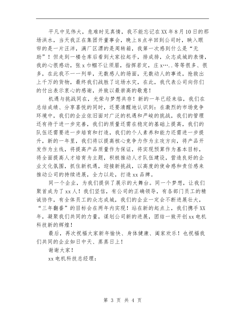 年总结及年新年致辞_第3页