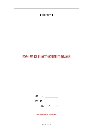 2024年12月员工试用期工作总结