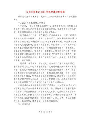 公司支部书记2024年抓党建述职报告