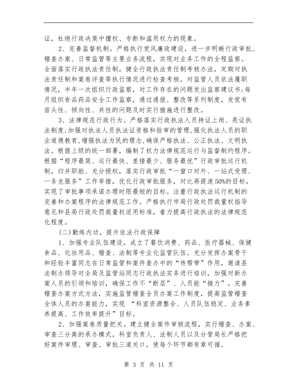 食药监局依法行政工作总结_第3页