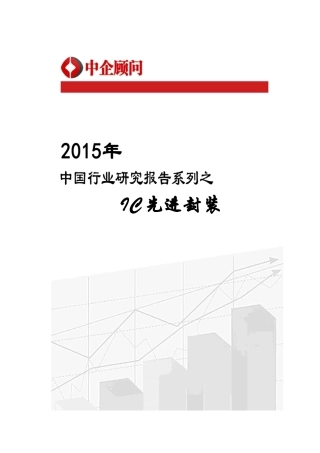 先进封装市场监测及投资前景分析报告