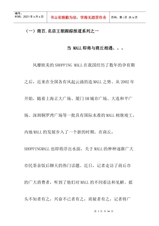 商丘市SHOPPINGMALL市场调查(19doc)
