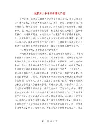 城管局上半年目标情况汇报