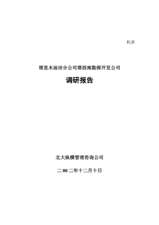 塔西南调研报告