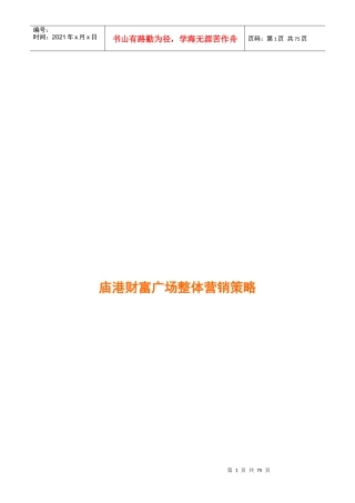 吴江市庙港财富广场整体营销策略