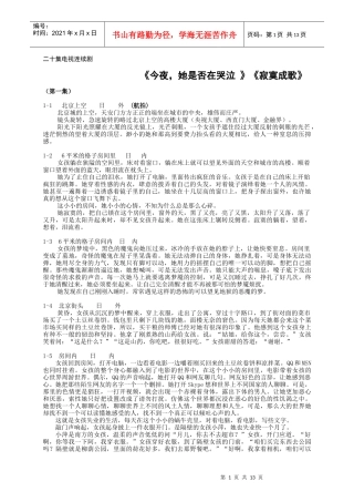 二十集电视连续剧