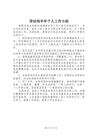 劳动局半年个人工作小结