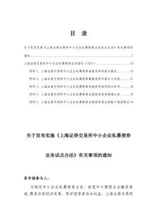 上证中小企业私募债试点业务规则