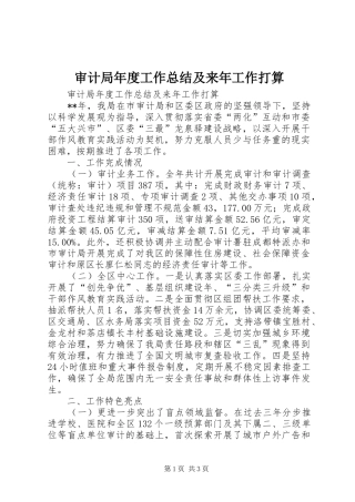 审计局年度工作总结及来年工作打算