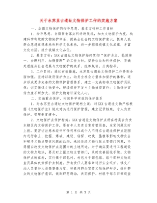 关于永苏里古遗址文物保护工作的实施方案