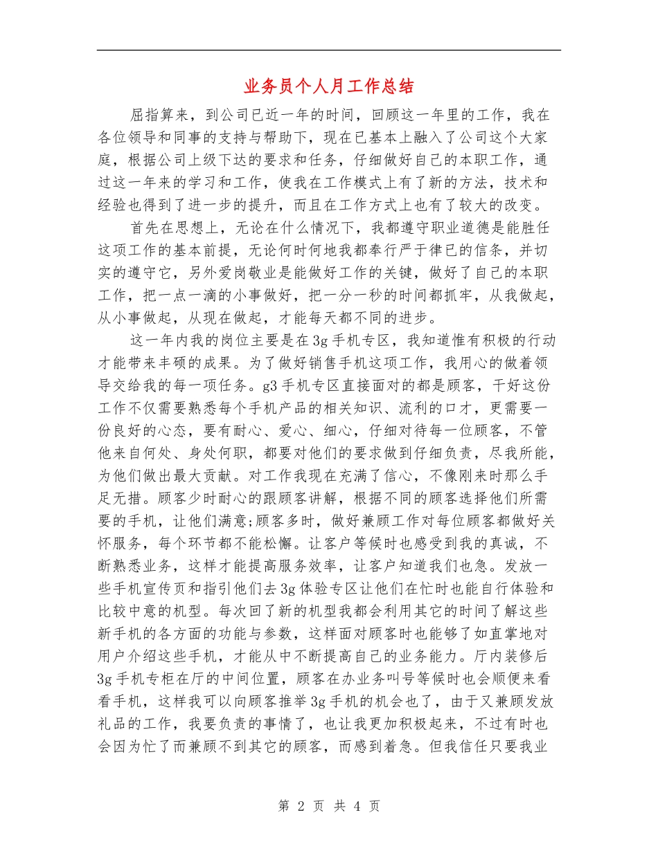 业务员个人月工作总结_第2页