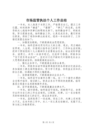 市场监管执法个人工作总结