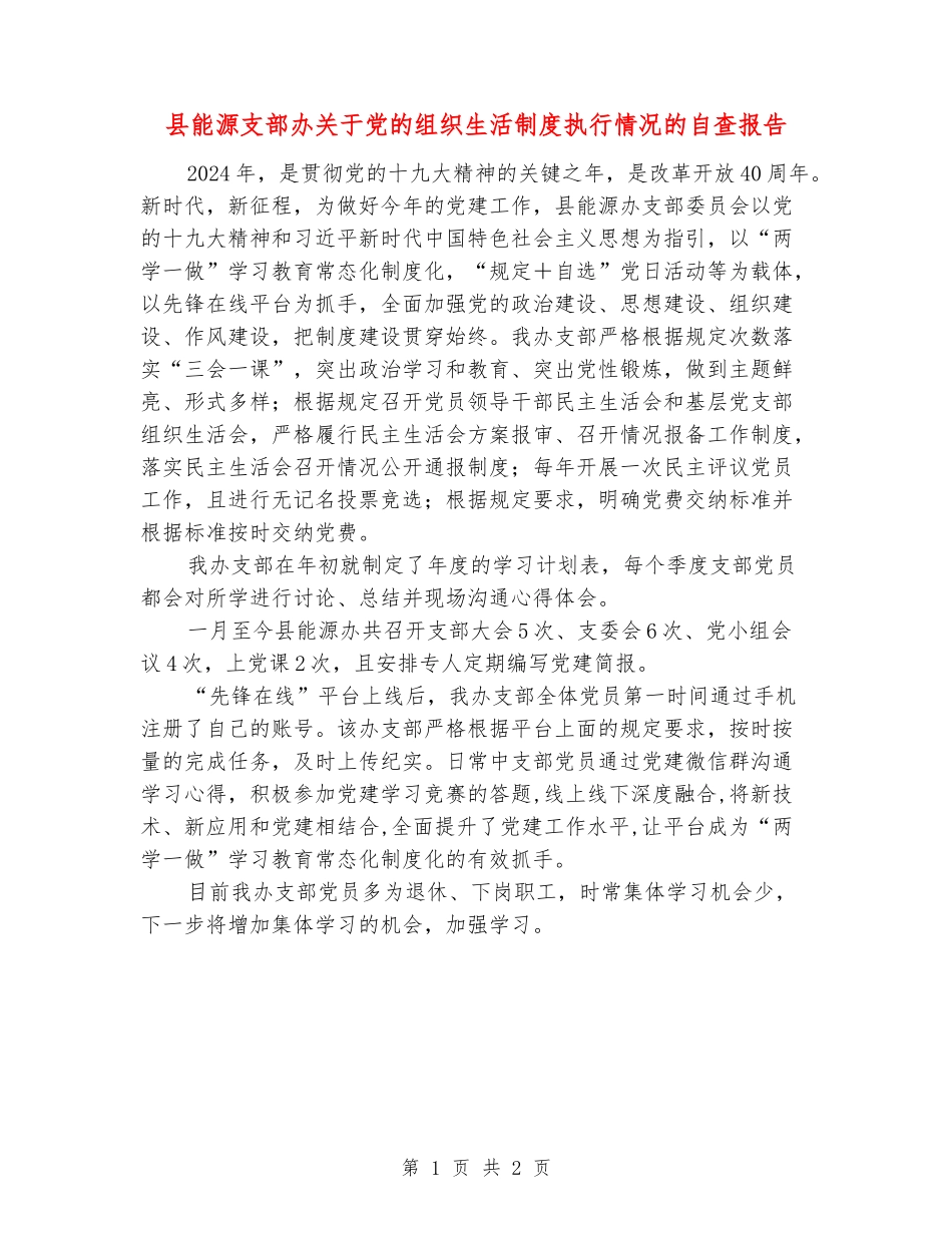 县能源支部办关于党的组织生活制度执行情况的自查报告_第1页