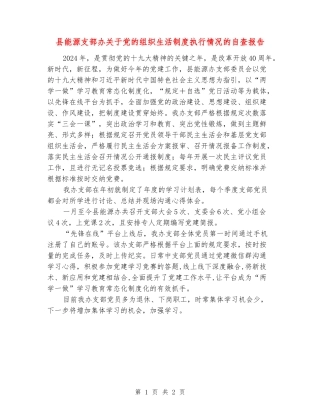 县能源支部办关于党的组织生活制度执行情况的自查报告