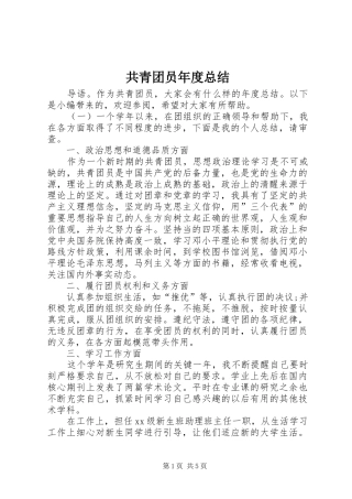 共青团员年度总结