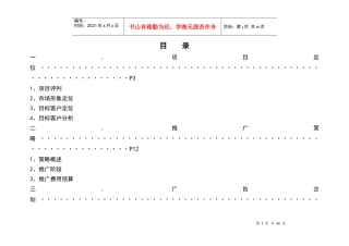 上海某广场营销执行方案