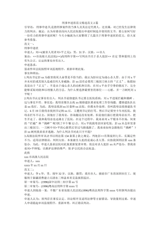 刑事申诉状范文精选范文2篇 