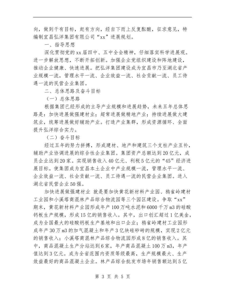 公司-年发展规划_第3页