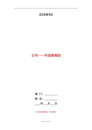 公司-年发展规划