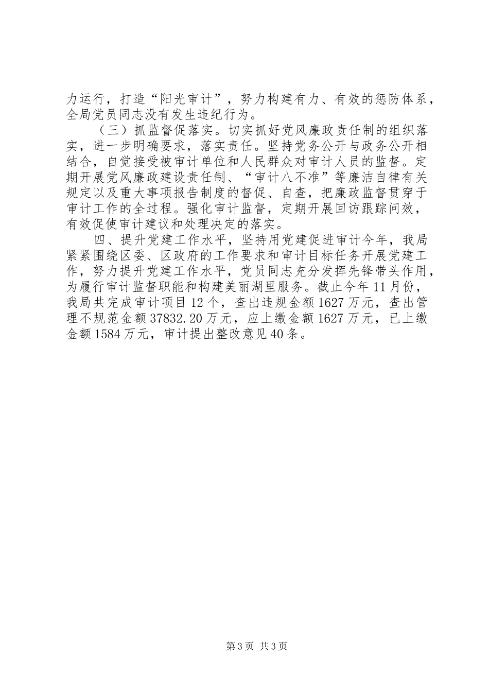 审计局党支部年度工作总结_第3页