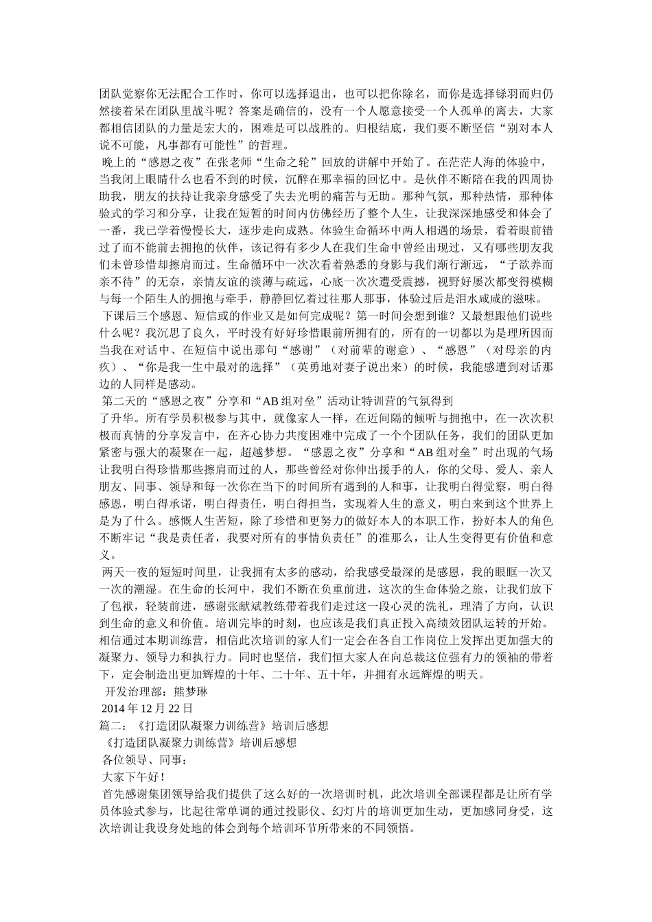 团队凝聚力培训心得 _第2页