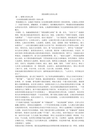 团队凝聚力培训心得 