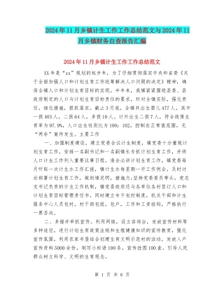 2024年11月乡镇计生工作工作总结范文与2024年11月乡镇财务自查报告汇编